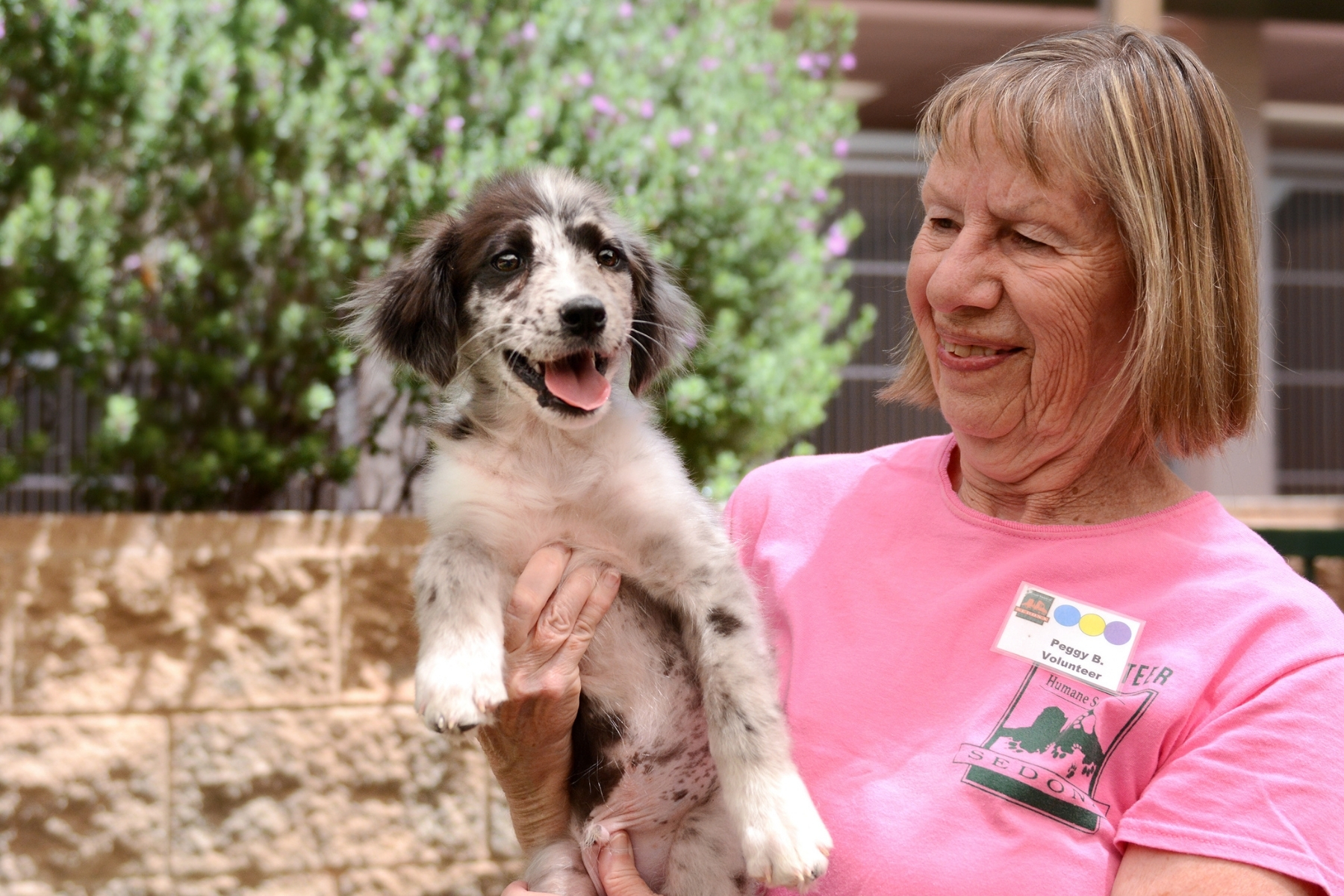 Since '66 animals of Sedona